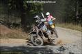 PHOTO GALLERY