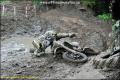 PHOTO GALLERY